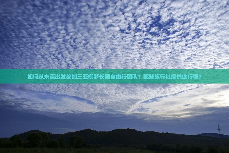 如何从东莞出发参加三亚椰梦长廊自由行团队？哪些旅行社提供此行程？