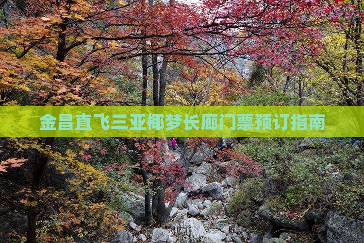金昌直飞三亚椰梦长廊门票预订指南