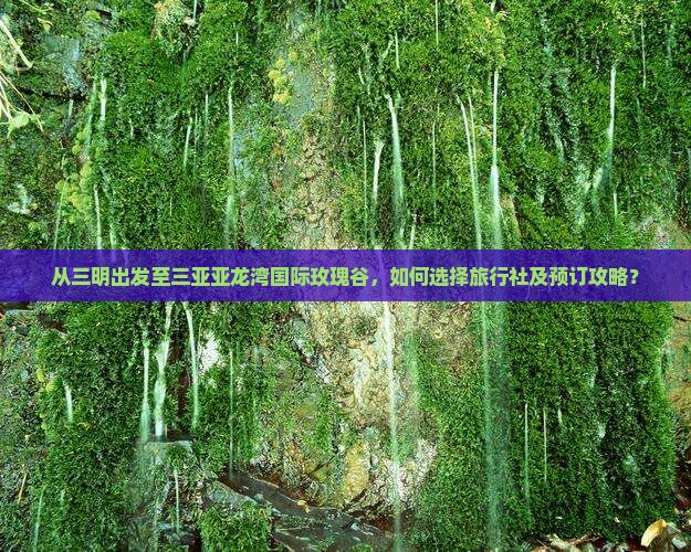 从三明出发至三亚亚龙湾国际玫瑰谷，如何选择旅行社及预订攻略？