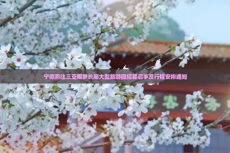宁德前往三亚椰梦长廊大型旅游团招募启事及行程安排通知