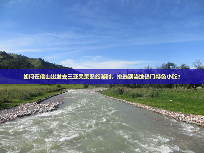 如何在佛山出发去三亚呆呆岛旅游时，挑选到当地热门特色小吃？