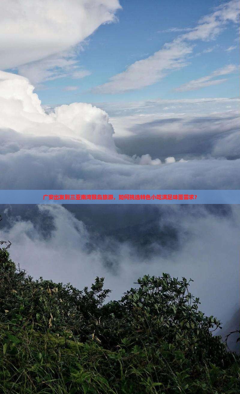 广安出发到三亚南湾猴岛旅游，如何挑选特色小吃满足味蕾需求？