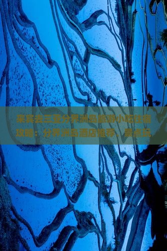 来宾去三亚分界洲岛旅游小吃住宿攻略：分界洲岛酒店推荐、景点玩乐、门票优惠政策全解析