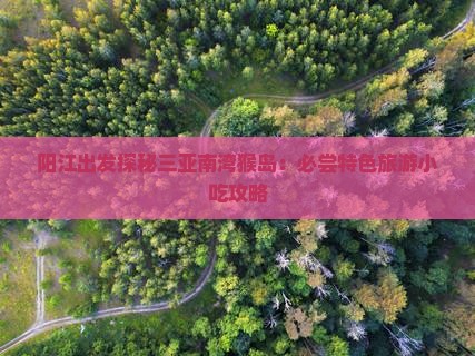 阳江出发探秘三亚南湾猴岛：必尝特色旅游小吃攻略