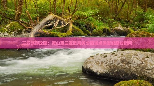 三亚旅游攻略：黄山至三亚凤凰岭公园景点深度游路线指南