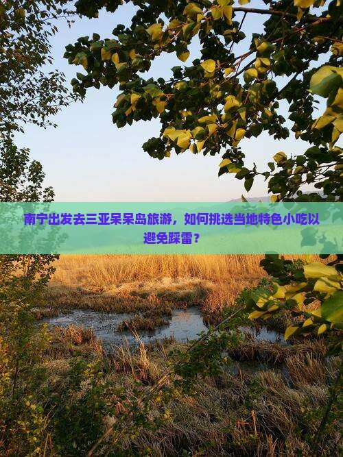 南宁出发去三亚呆呆岛旅游，如何挑选当地特色小吃以避免踩雷？