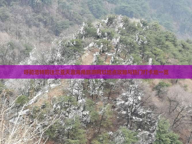 呼和浩特前往三亚天涯海角旅游网红地点攻略与热门打卡地一览