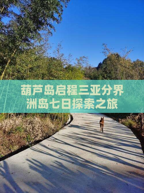 葫芦岛启程三亚分界洲岛七日探索之旅