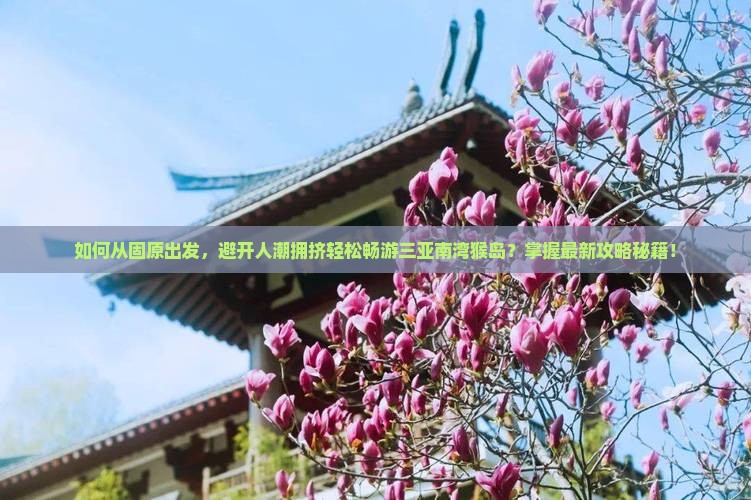 如何从固原出发，避开人潮拥挤轻松畅游三亚南湾猴岛？掌握最新攻略秘籍！