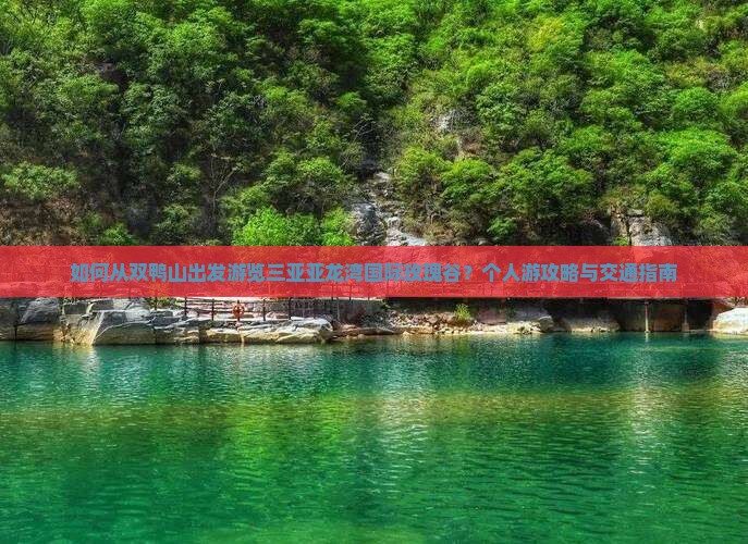 如何从双鸭山出发游览三亚亚龙湾国际玫瑰谷？个人游攻略与交通指南