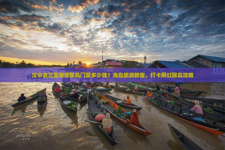 汉中去三亚南湾猴岛门票多少钱？海岛旅游新宠，打卡网红猴岛攻略