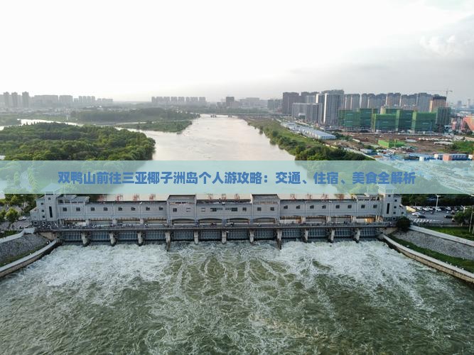 双鸭山前往三亚椰子洲岛个人游攻略：交通、住宿、美食全解析