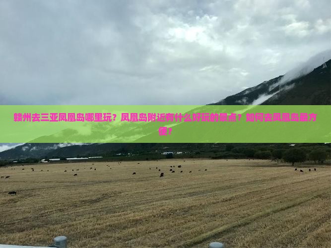 赣州去三亚凤凰岛哪里玩？凤凰岛附近有什么好玩的景点？如何去凤凰岛最方便？