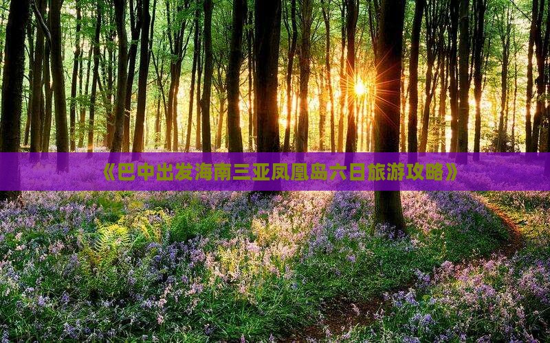 《巴中出发海南三亚凤凰岛六日旅游攻略》