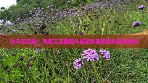 驻马店启程：海南三亚鹿回头旅游攻略及回头探秘指南