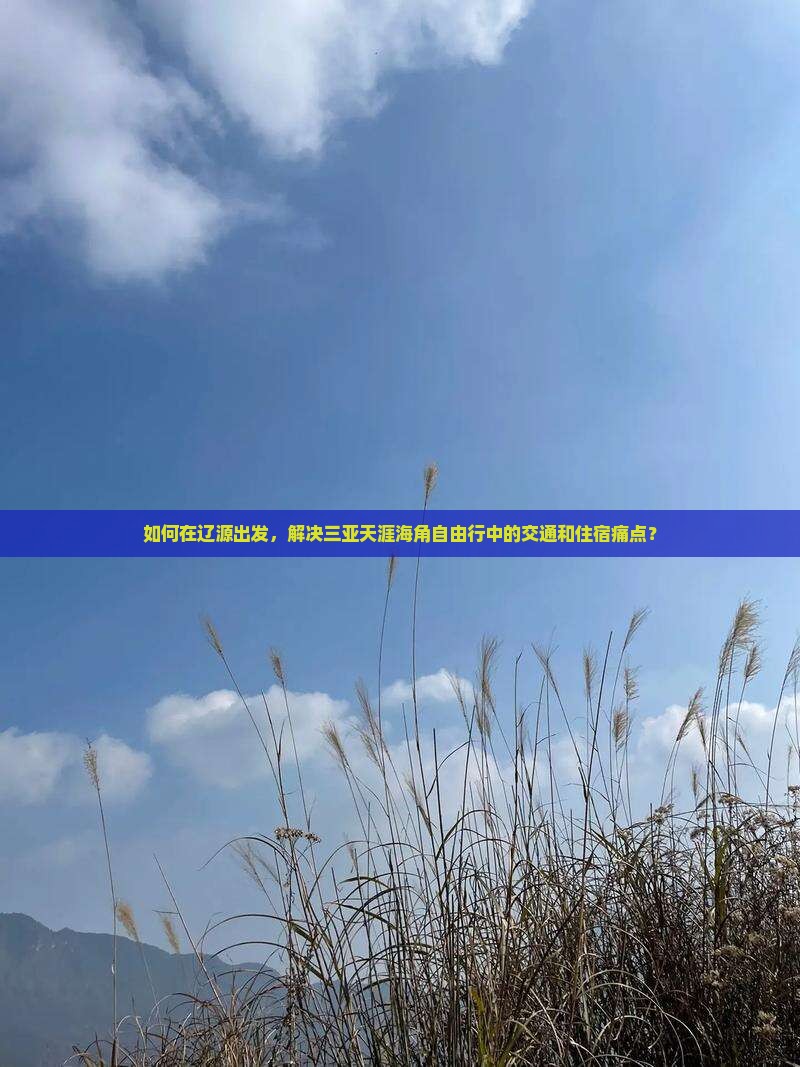 如何在辽源出发，解决三亚天涯海角自由行中的交通和住宿痛点？
