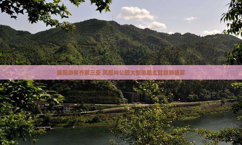 襄阳游客齐聚三亚 凤凰岭公园大型凤凰主题旅游盛宴