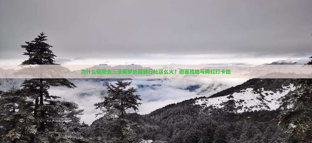 为什么信阳去三亚椰梦长廊旅行社这么火？避寒胜地与网红打卡地