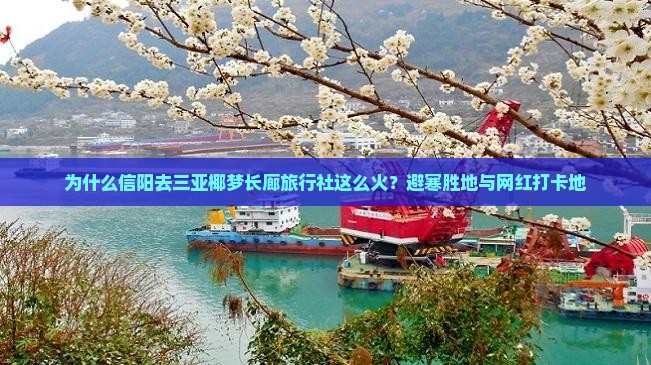 为什么信阳去三亚椰梦长廊旅行社这么火？避寒胜地与网红打卡地