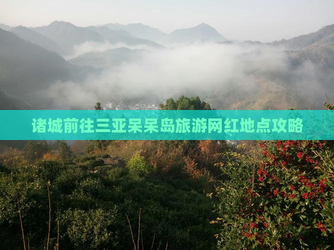 诸城前往三亚呆呆岛旅游网红地点攻略