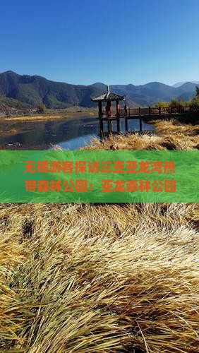 无锡游客探访三亚亚龙湾热带森林公园：亚龙森林公园哪里值得一玩