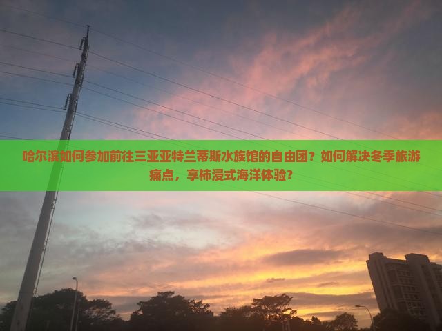 哈尔滨如何参加前往三亚亚特兰蒂斯水族馆的自由团？如何解决冬季旅游痛点，享柿浸式海洋体验？