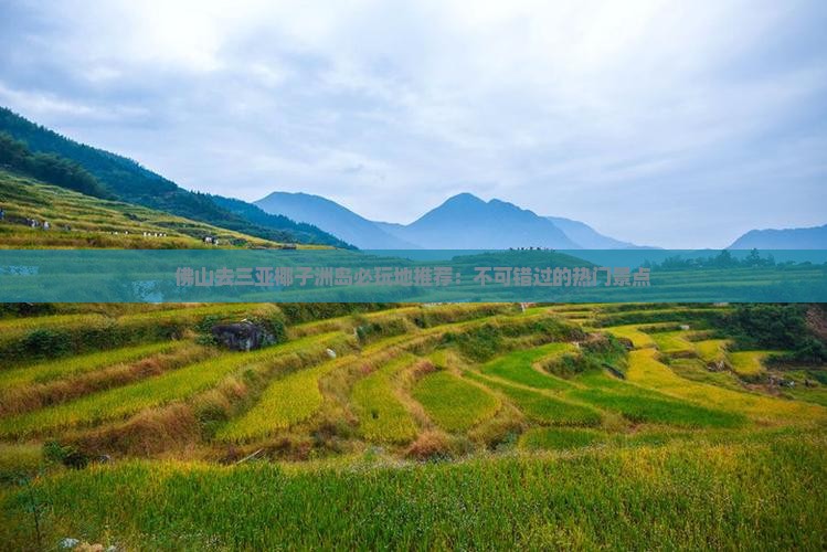 佛山去三亚椰子洲岛必玩地推荐：不可错过的热门景点