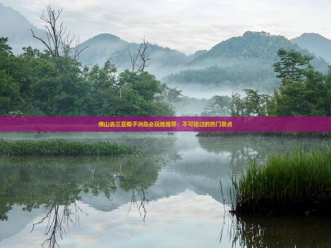 佛山去三亚椰子洲岛必玩地推荐：不可错过的热门景点
