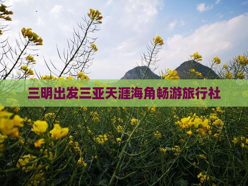 三明出发三亚天涯海角畅游旅行社