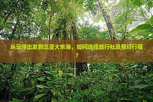 从云浮出发到三亚大东海，如何选择旅行社及预订行程？