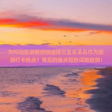 为何哈密游客纷纷选择三亚呆呆岛作为旅游打卡热点？背后的痛点和热词新趋势！