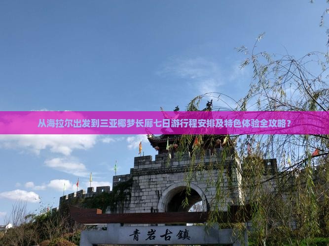 从海拉尔出发到三亚椰梦长廊七日游行程安排及特色体验全攻略？