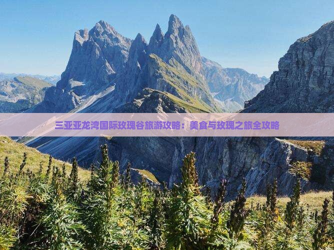 三亚亚龙湾国际玫瑰谷旅游攻略：美食与玫瑰之旅全攻略