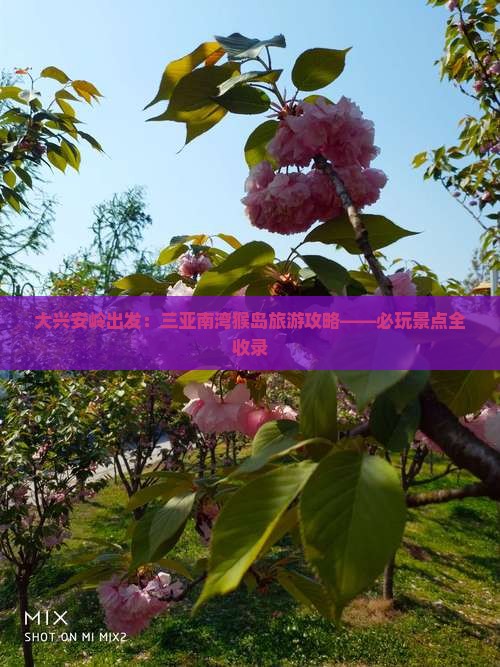 大兴安岭出发：三亚南湾猴岛旅游攻略——必玩景点全收录