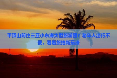 平顶山前往三亚小东海大型旅游团？老年人出行不便，看看旅拍新玩法