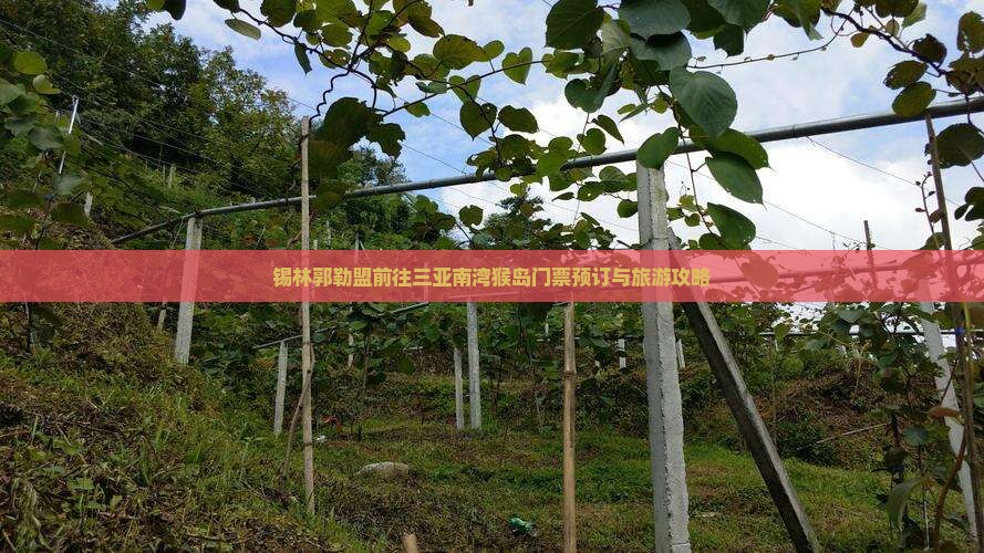 锡林郭勒盟前往三亚南湾猴岛门票预订与旅游攻略