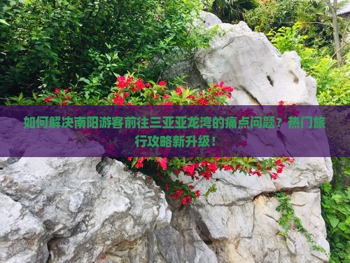 如何解决南阳游客前往三亚亚龙湾的痛点问题？热门旅行攻略新升级！