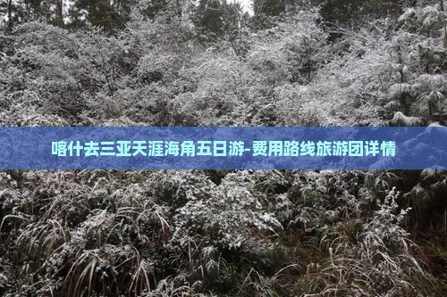 喀什去三亚天涯海角五日游-费用路线旅游团详情