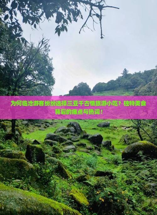 为何临沧游客纷纷选择三亚千古情旅游小吃？独特美食背后的痛点与热词！
