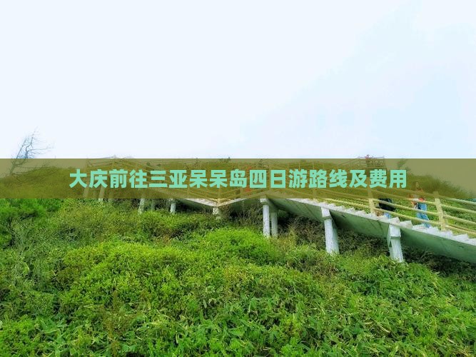 大庆前往三亚呆呆岛四日游路线及费用