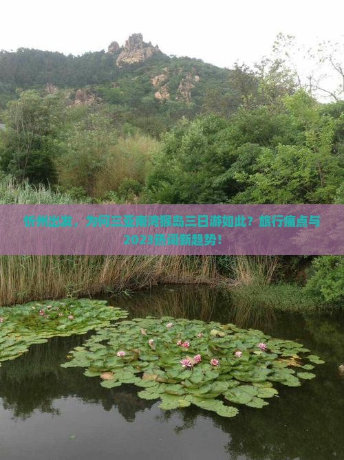 忻州出发，为何三亚南湾猴岛三日游如此？旅行痛点与2023热词新趋势！