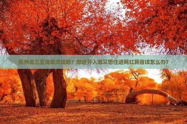 抚州去三亚海棠湾攻略？想避开人潮又想住进网红民宿该怎么办？