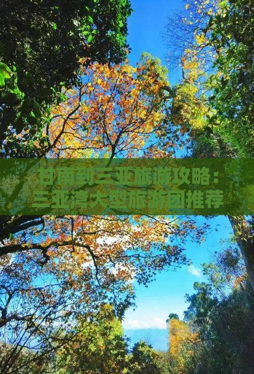 甘南到三亚旅游攻略：三亚湾大型旅游团推荐