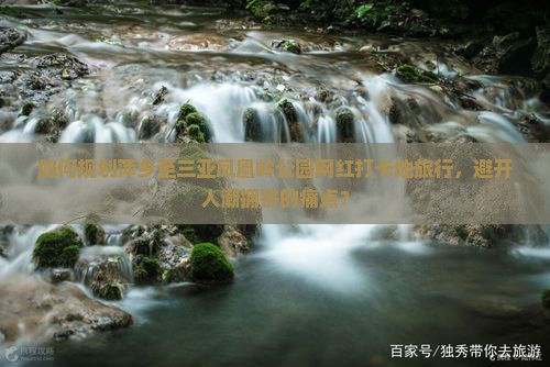 如何规划萍乡至三亚凤凰岭公园网红打卡地旅行，避开人潮拥挤的痛点？