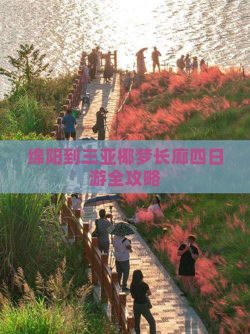 绵阳到三亚椰梦长廊四日游全攻略