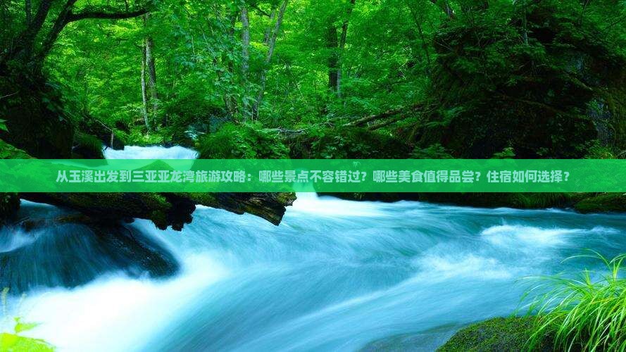 从玉溪出发到三亚亚龙湾旅游攻略：哪些景点不容错过？哪些美食值得品尝？住宿如何选择？