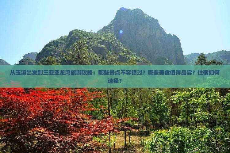 从玉溪出发到三亚亚龙湾旅游攻略：哪些景点不容错过？哪些美食值得品尝？住宿如何选择？