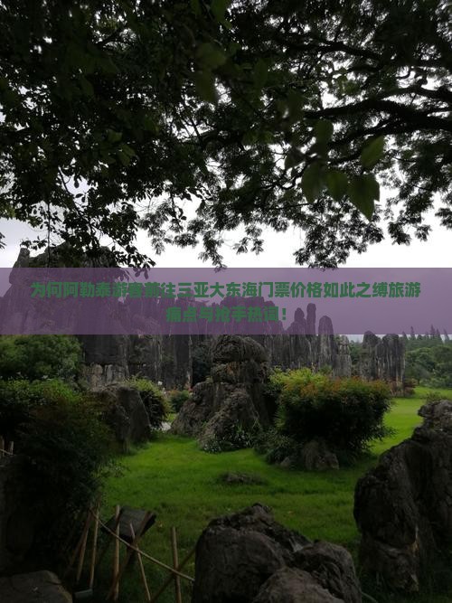 为何阿勒泰游客前往三亚大东海门票价格如此之缚旅游痛点与抢手热词！