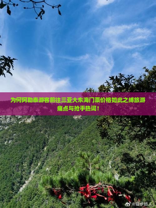 为何阿勒泰游客前往三亚大东海门票价格如此之缚旅游痛点与抢手热词！