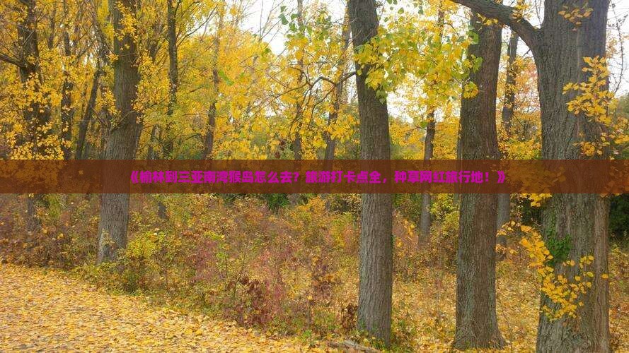 《榆林到三亚南湾猴岛怎么去？旅游打卡点全，种草网红旅行地！》